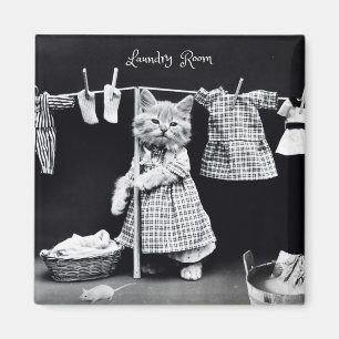 Magneet, Kat die Wasserij hangt Magneet