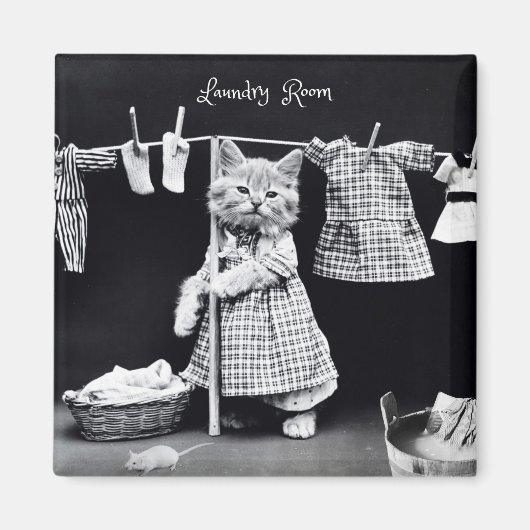 Magneet, Kat die Wasserij hangt Magneet (Voorkant)