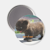 Magneet Kat's horror (Voorkant / Achterkant)
