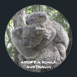 Magneet Koala Adopteren Australië ZIZZAGO<br><div class="desc">Magneet Koala Adopteren Australië ZIZZAGO Een wild kind adopteren 10 minuten ten noorden van de luchthaven Gold Coast, 20 minuten ten zuiden van Surfers Paradise. Ik heb een koala geadopteerd! Uw bijdrage aan ons Adopt a Wildlife Child-programma helpt het sanatorium met de kosten voor het houden van uw gekozen soort,...</div>