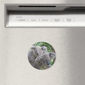 Magneet Koala en Baby Australië Foto (Insitu (Vaatwasser))