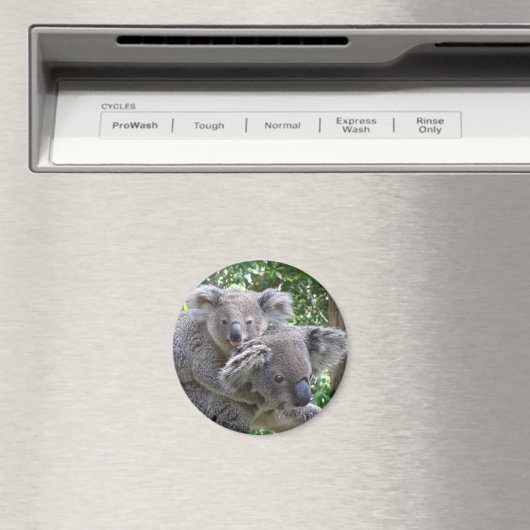Magneet Koala en Baby Australië Foto (Insitu (Vaatwasser))