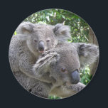 Magneet Koala en Baby Australië Foto<br><div class="desc">Magneet Koala en Baby Australië Foto 10 minuten ten noorden van de Gold Coast Airport, 20 minuten ten zuiden van Surfers Paradise. Ik heb een Koala geadopteerd! Uw bijdrage via ons Adopt a Wildlife Child programma zal het Sanctuary helpen met de kosten van het houden van uw gekozen soort, inclusief...</div>