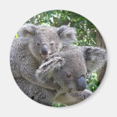 Magneet Koala en Baby Australië Foto (Voorkant)
