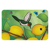 Magneet - limonade (Horizontaal)