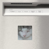 Magneet - Maine Coon Cat Afbeelding 2 (Insitu (Vaatwasser))