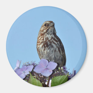 Magneet met afdruk van kleine bruine zangvogel