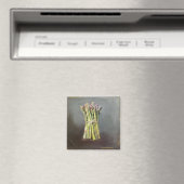 Magneet met asperges (Insitu (Vaatwasser))
