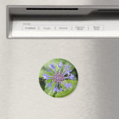 Magneet met blauwe korenbloem (Insitu (Vaatwasser))