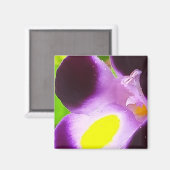 Magneet met een natuurlijke bloem (Voorkant / Achterkant)