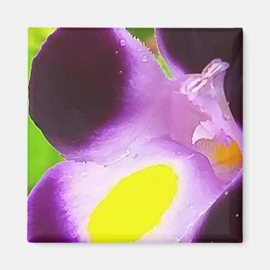 Magneet met een natuurlijke bloem (Voorkant)