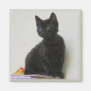 Magneet met een Zwart Kattig Kabouter