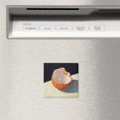 MAGNEET MET EIERSCHAAL (Insitu (Vaatwasser))