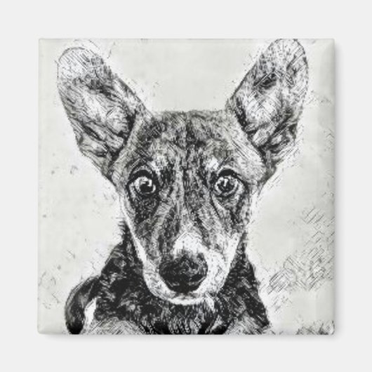 Magneet met Hondengezicht (Voorkant)