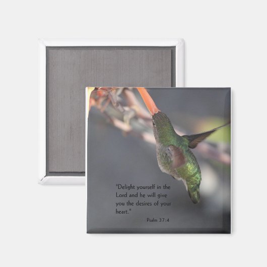 magneet met kolibrie - genot in de Heer (Voorkant / Achterkant)