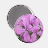 Magneet met paarse wilde bloemen (Voorkant / Achterkant)