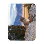 Magneet met poema afbeelding (Verticaal)