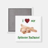 Magneet, met prachtige Spinone puppy l Magneet (Voorkant / Achterkant)
