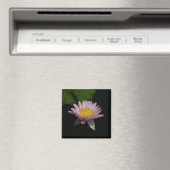 Magneet met roze paarse lotus waterlelie (Insitu (Vaatwasser))