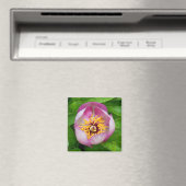 Magneet met roze pioenbloem (Insitu (Vaatwasser))
