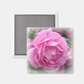Magneet met roze roos (Voorkant / Achterkant)