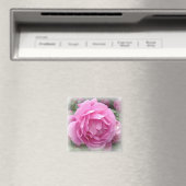Magneet met roze roos (Insitu (Vaatwasser))
