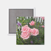 Magneet met roze rozen (Voorkant / Achterkant)