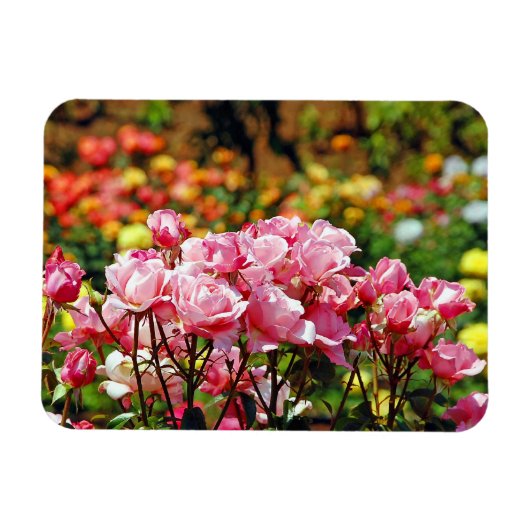 Magneet met roze rozenprint (Horizontaal)