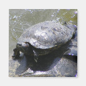 Magneet met schildpad (Voorkant)