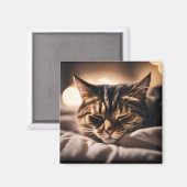 Magneet met slapende kat (Voorkant / Achterkant)