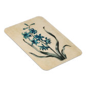 Magneet met vintage botanische bloemhyacint (Rechterzijde)