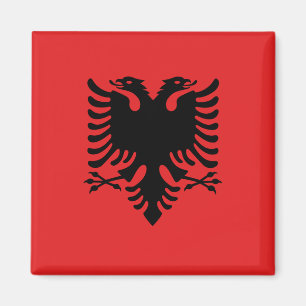 Magneet met vlag van Albanië