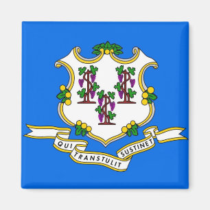 Magneet met vlag van Connecticut State - Verenigde