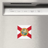 Magneet met vlag van Florida State - Verenigde Sta (Insitu (Vaatwasser))