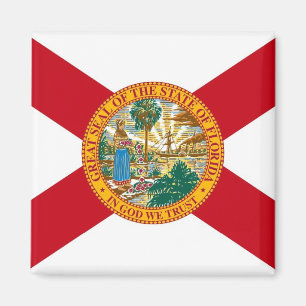 Magneet met vlag van Florida State - Verenigde Sta