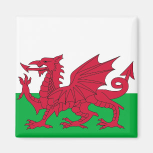 Magneet met vlag van Wales