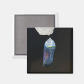 Magneet - Monarch Rupsmouw (2022) (Voorkant / Achterkant)