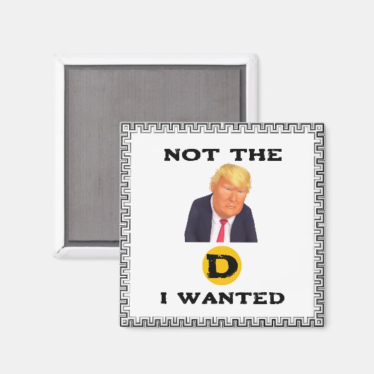 Magneet Niet De Democraten Die Ik Wilde (Voorkant / Achterkant)