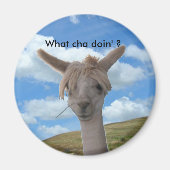 Magneet - Nieuwsgierig Alpaca (Voorkant)