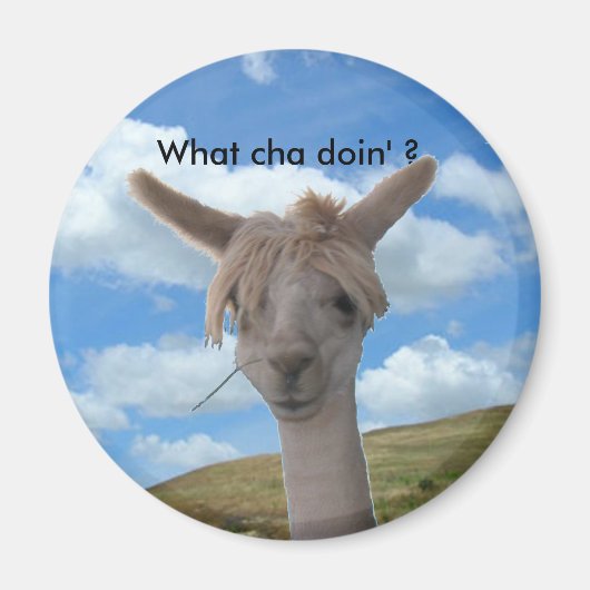 Magneet - Nieuwsgierig Alpaca (Voorkant)