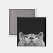 Magneet opzoeken (Voorkant / Achterkant)