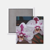 Magneet: Orchideeën Magneet (Voorkant / Achterkant)