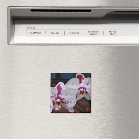 Magneet: Orchideeën Magneet (Insitu (Vaatwasser))