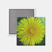 Magneet - Paardenbloem (Voorkant / Achterkant)