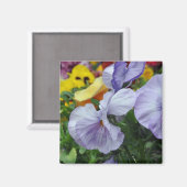 Magneet: pansies magneet (Voorkant / Achterkant)