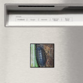 Magneet - Pissebed (foto) (Insitu (Vaatwasser))