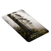 Magneet: Redwood Bomen, Mist, en Zonnestralen Magneet (Rechterzijde)