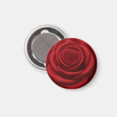 Magneet - Rode Roos Bloem (Voorkant / Achterkant)