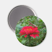 Magneet-rond/Bidden Mantis & Zinnie Magneet (Voorkant / Achterkant)