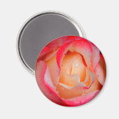 Magneet - Rood & Wit Rose (Voorkant / Achterkant)